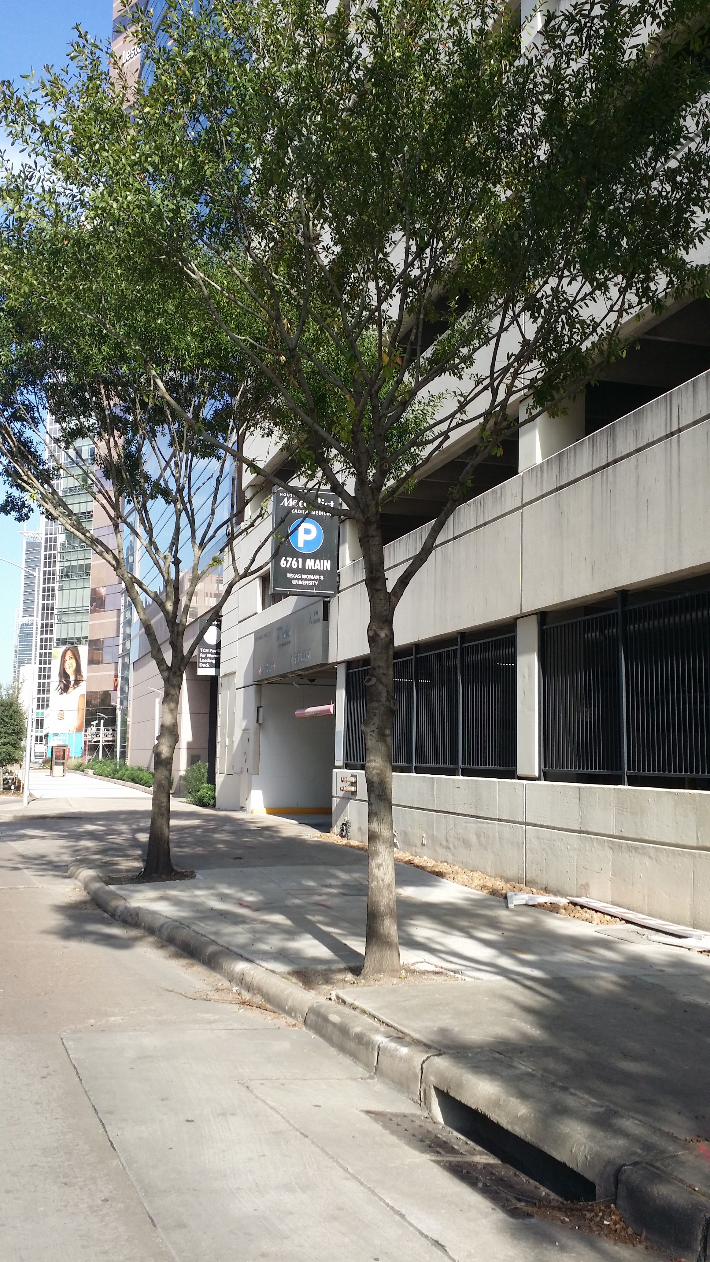 Main St. Entrance View